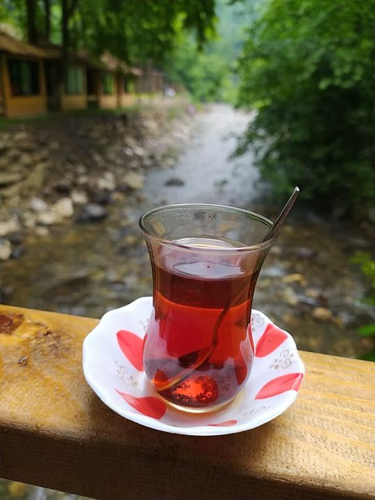 Fotoğraf 34