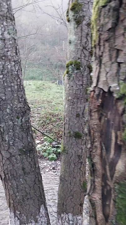 Fotoğraf 35
