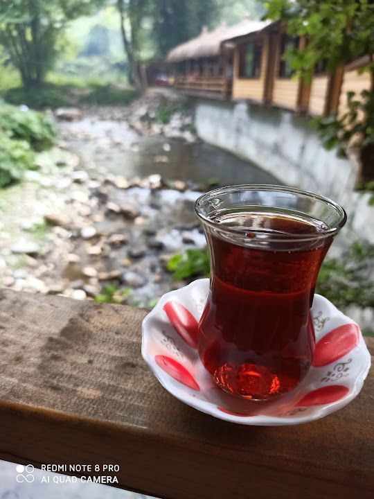 Fotoğraf 30