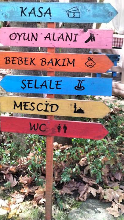 Fotoğraf 44