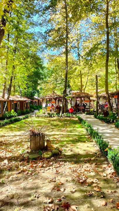 Fotoğraf 45