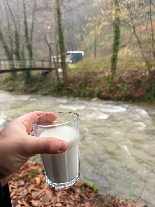 Fotoğraf 24