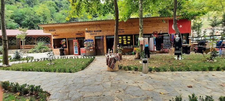 Fotoğraf 49
