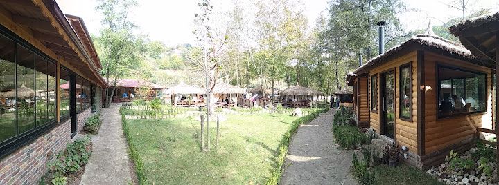 Fotoğraf 56