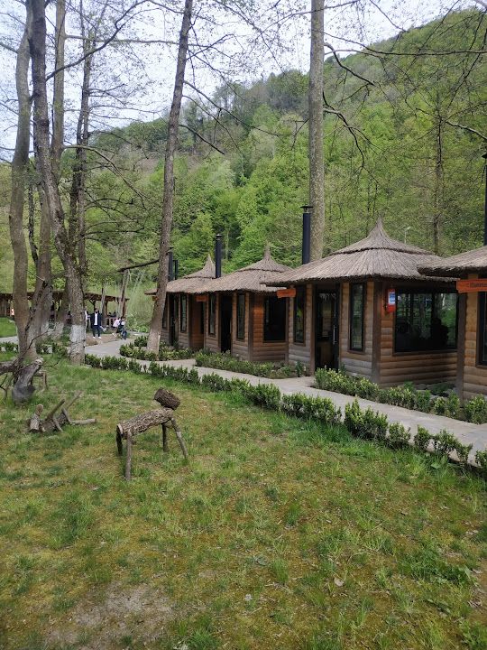 Fotoğraf 22