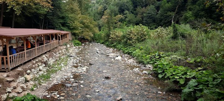 Fotoğraf 52