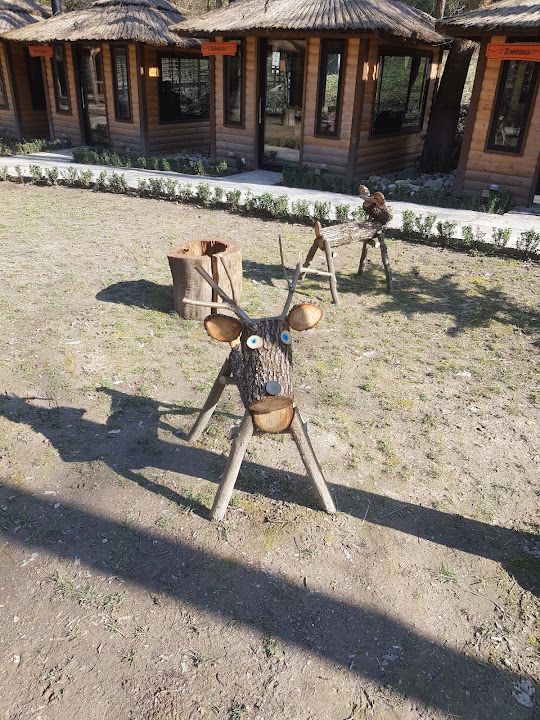 Fotoğraf 17