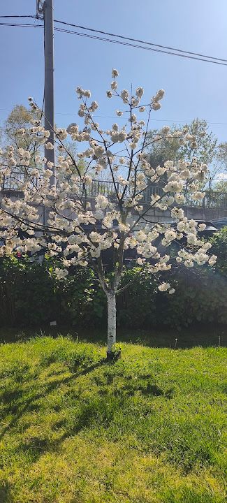 Fotoğraf 33