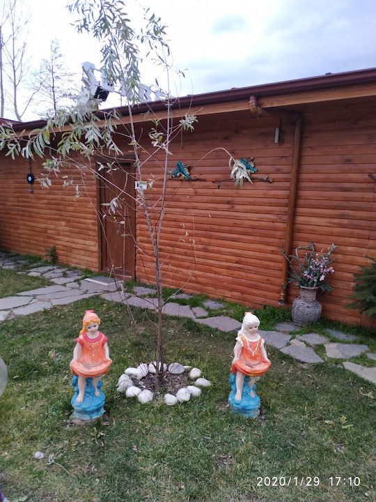 Fotoğraf 57