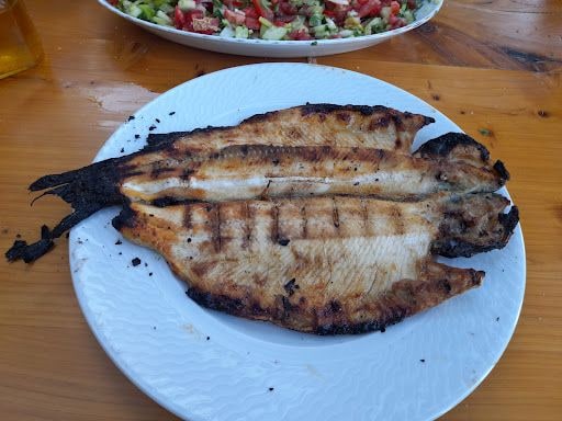 Fotoğraf 12