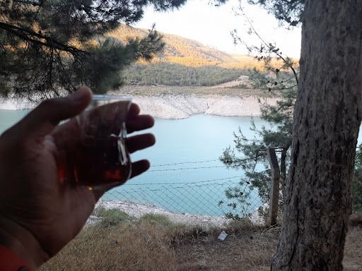 Fotoğraf 15