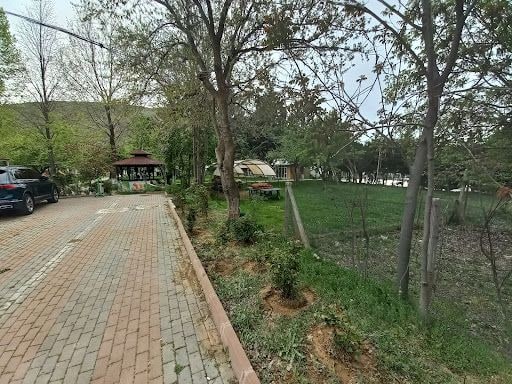 Yorum fotoğrafı 10