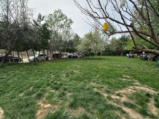 Yorum fotoğrafı 5