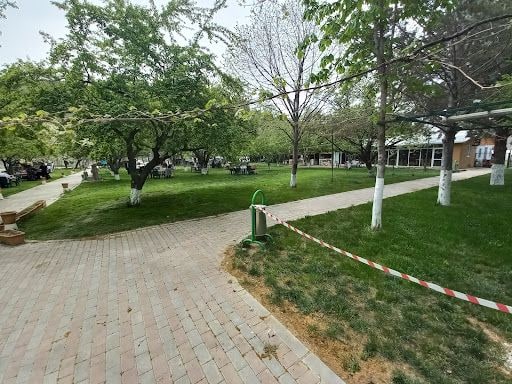 Yorum fotoğrafı 7