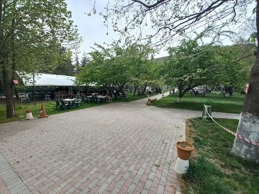 Yorum fotoğrafı 8
