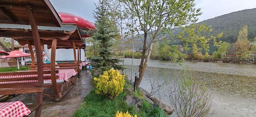 Yorum fotoğrafı 6
