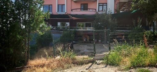 Yorum fotoğrafı 9