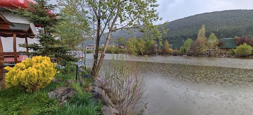 Yorum fotoğrafı 9