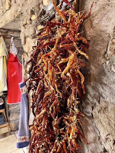 Yorum fotoğrafı 7