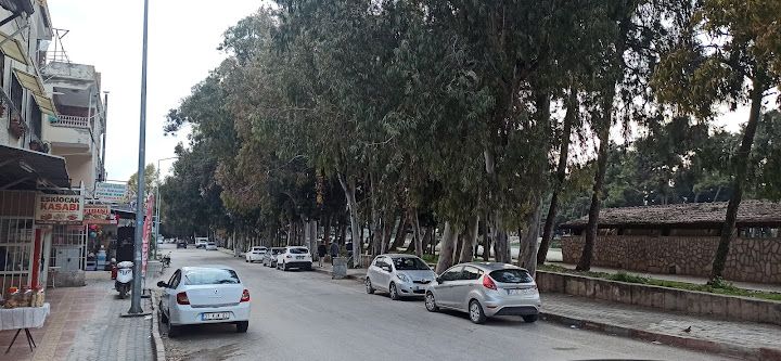 Yorum fotoğrafı 2