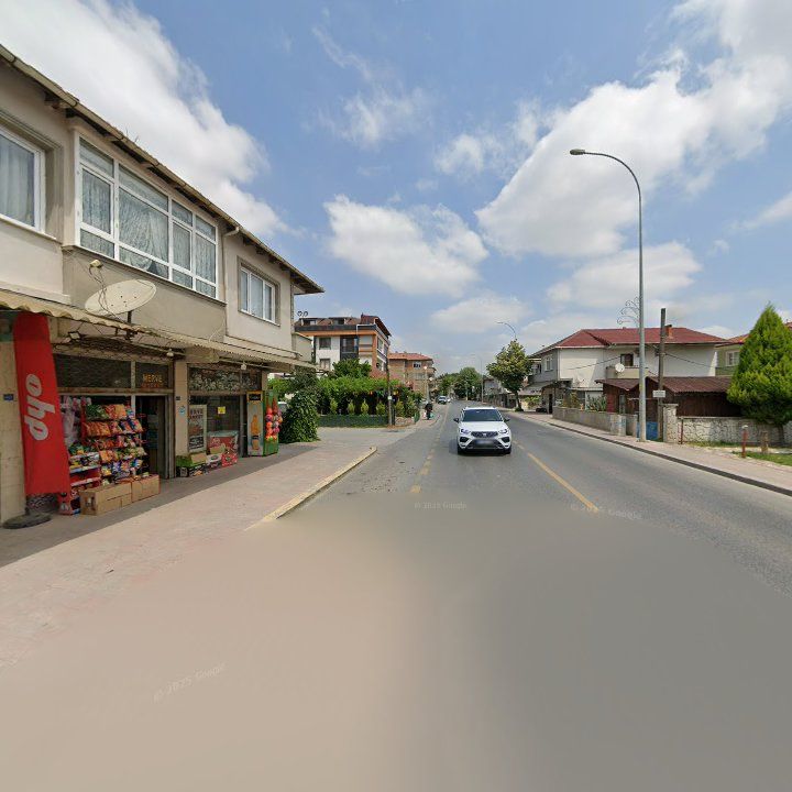 Fotoğraf 11