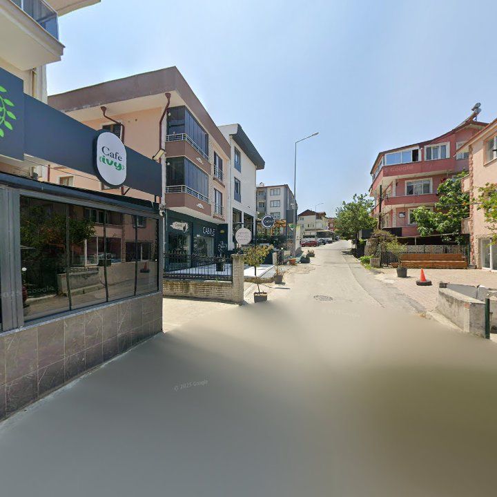 Fotoğraf 12