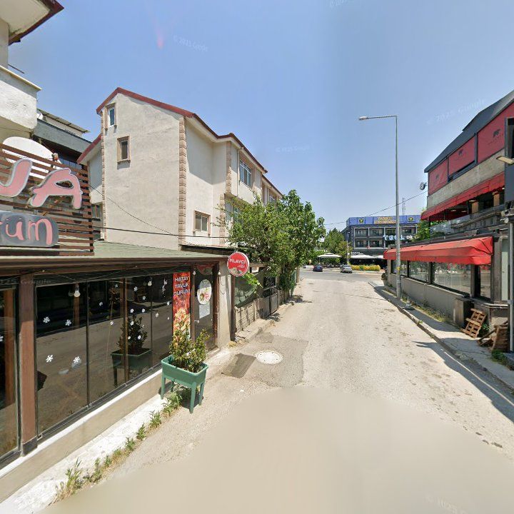Fotoğraf 10