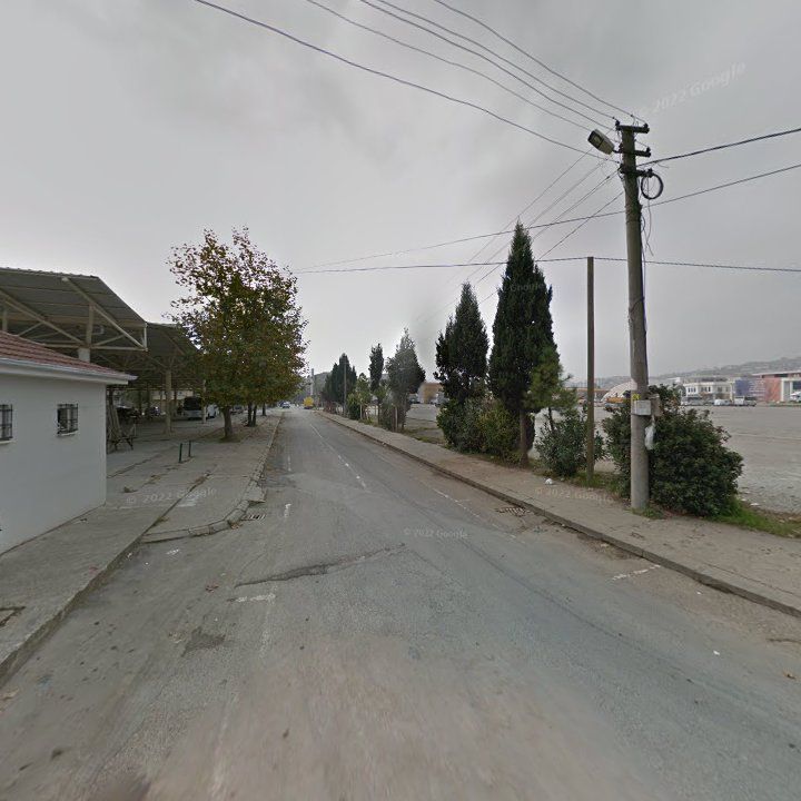 Fotoğraf 11