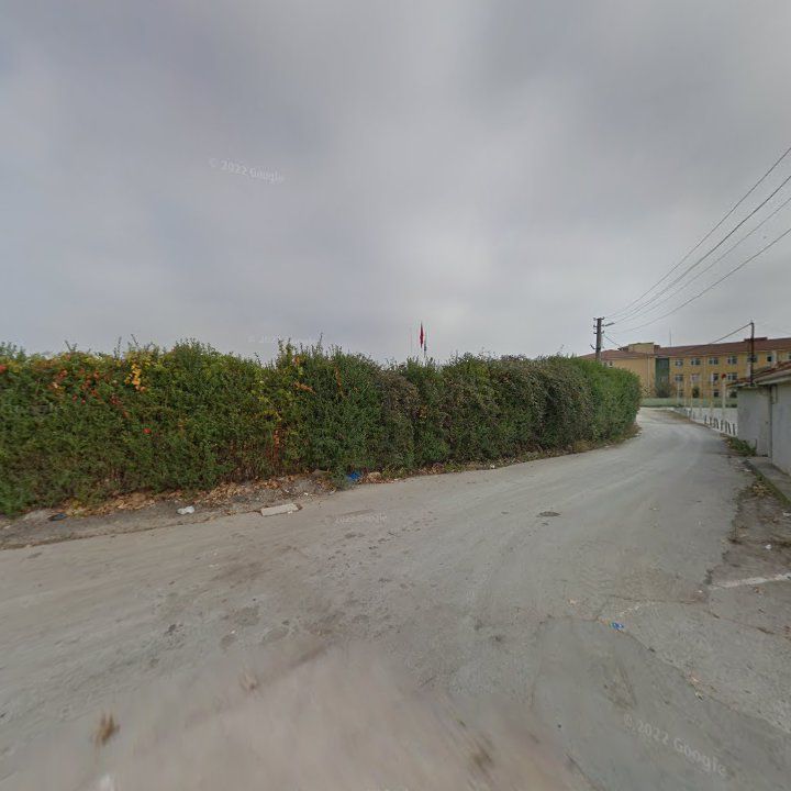 Fotoğraf 8
