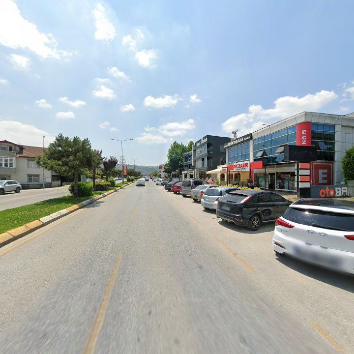 Fotoğraf 31