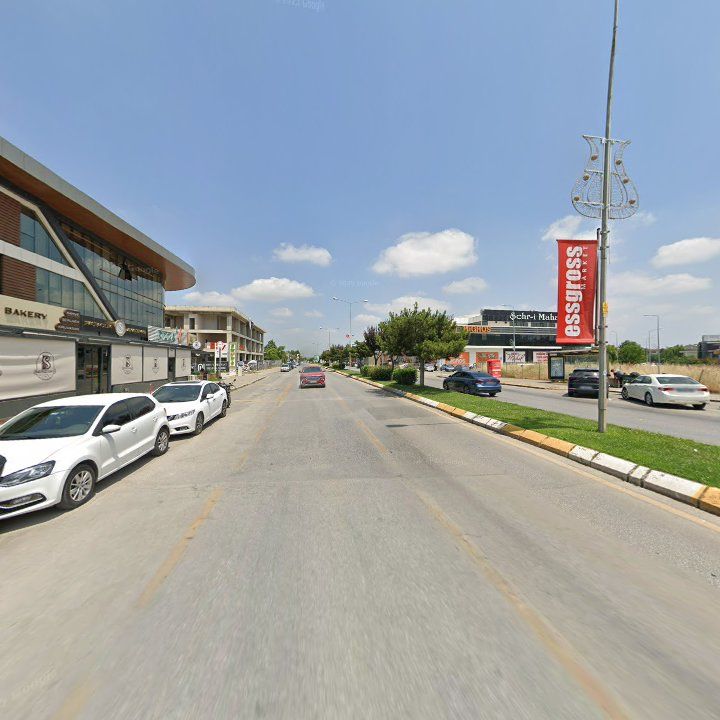 Fotoğraf 11