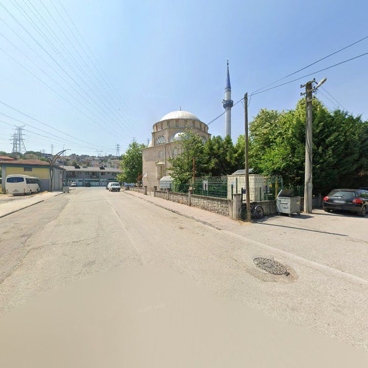 Fotoğraf 8