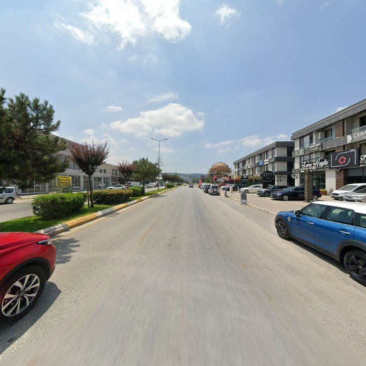 Fotoğraf 9