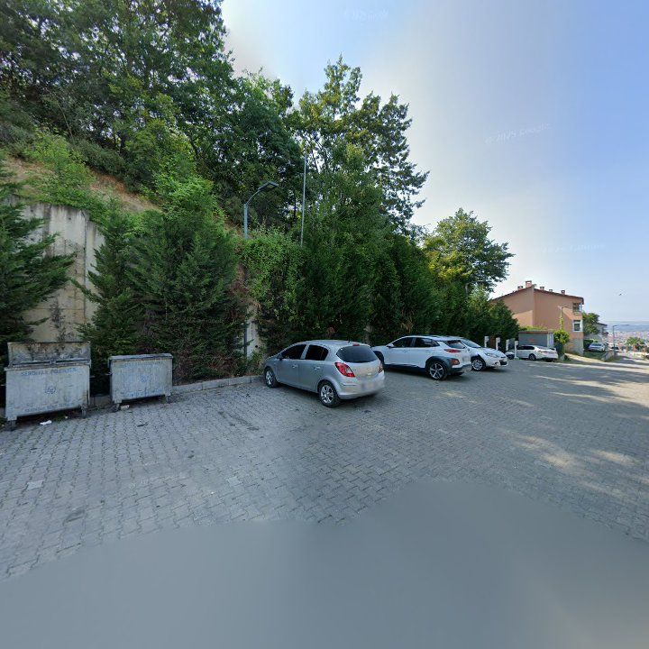 Fotoğraf 11