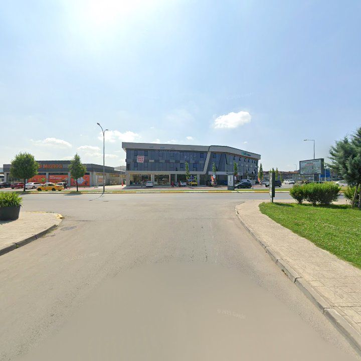 Fotoğraf 11