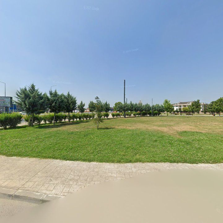 Fotoğraf 12