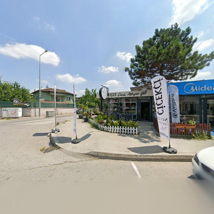 Fotoğraf 7