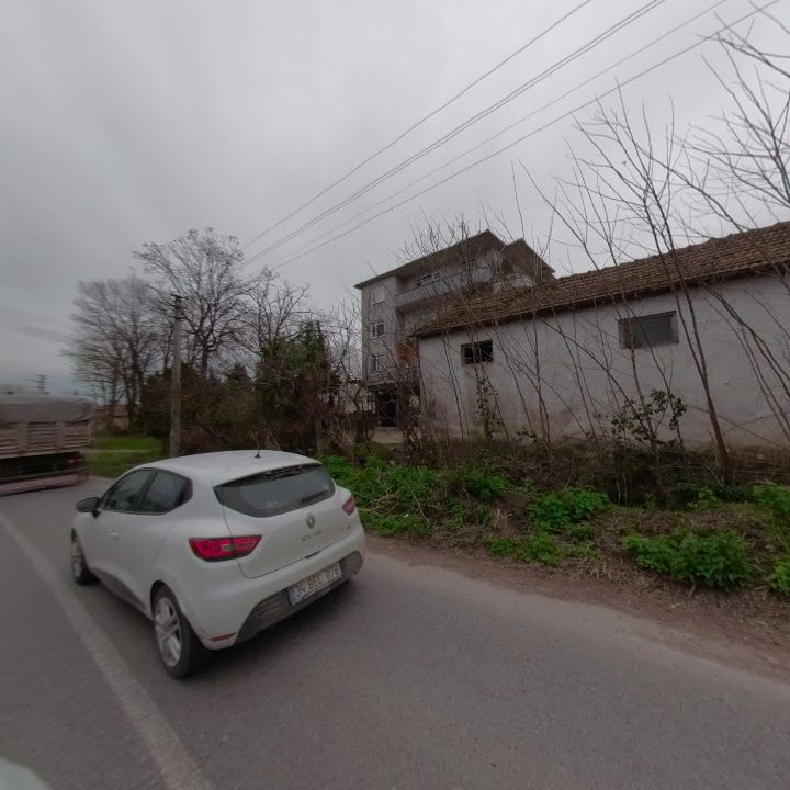 Fotoğraf 6