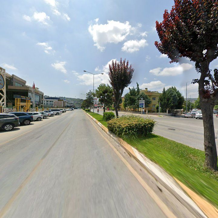 Fotoğraf 11
