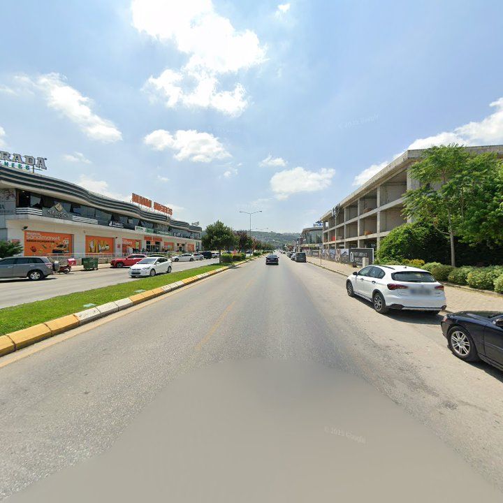 Fotoğraf 9