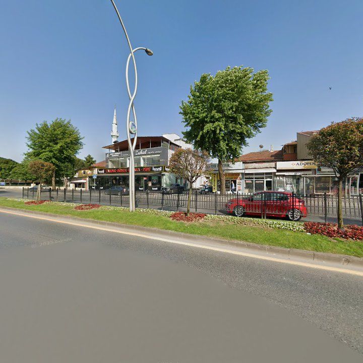 Fotoğraf 8