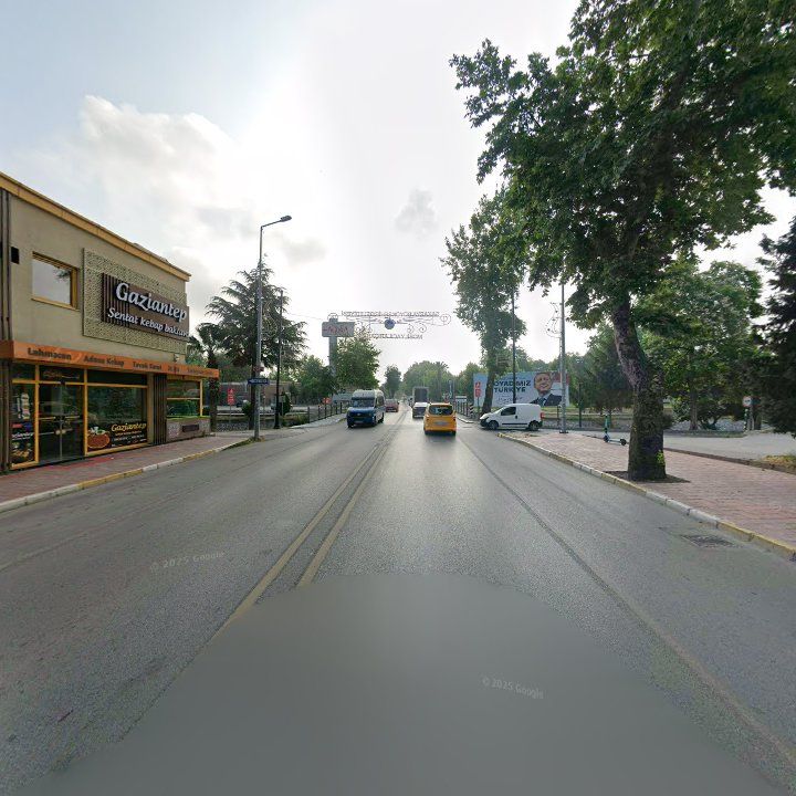 Fotoğraf 11