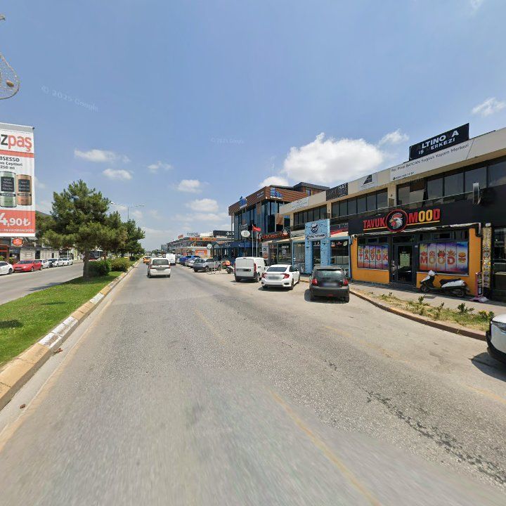Fotoğraf 11