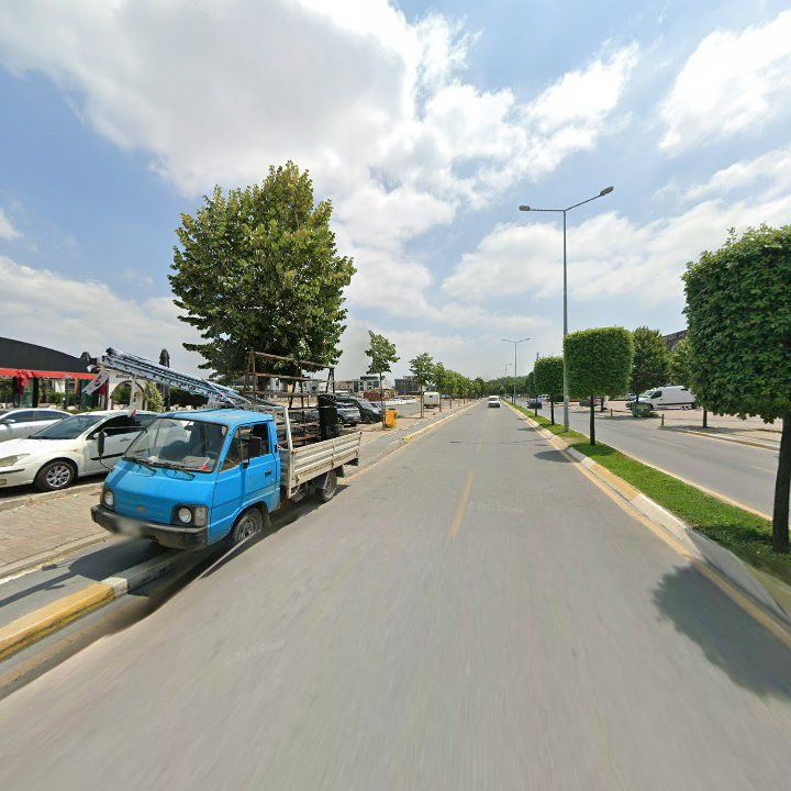 Fotoğraf 9