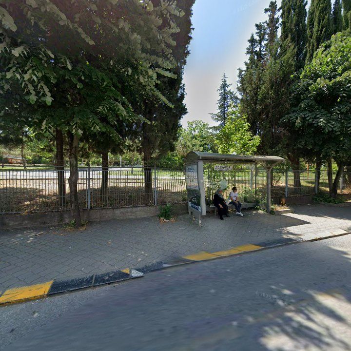 Fotoğraf 8