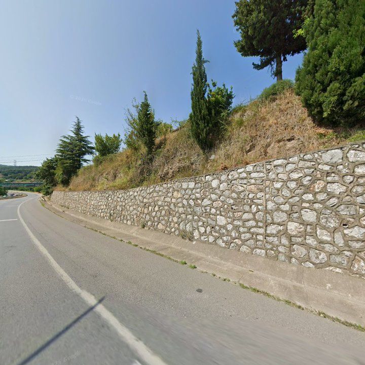 Fotoğraf 12