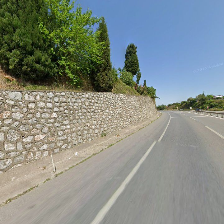 Fotoğraf 13