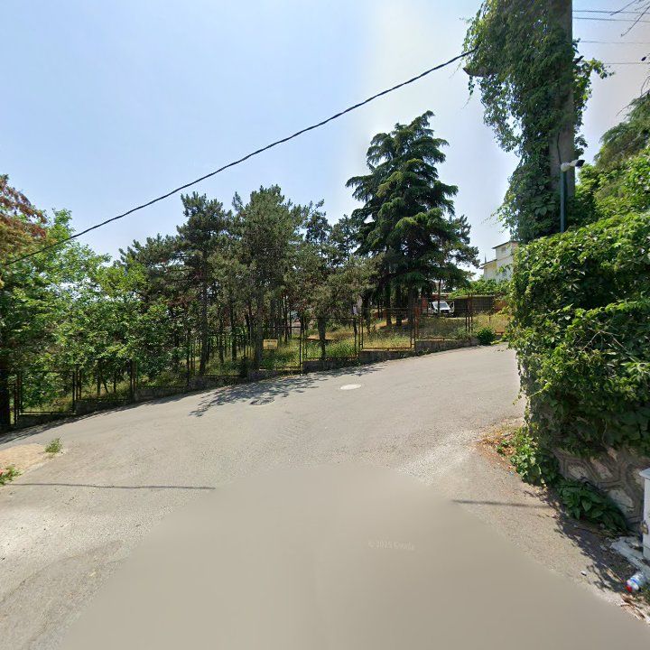 Fotoğraf 12
