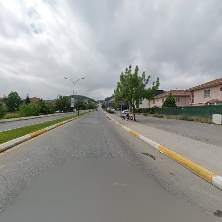 Fotoğraf 14
