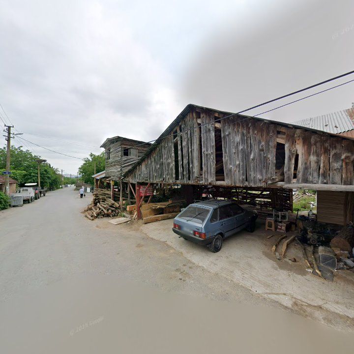 Fotoğraf 10